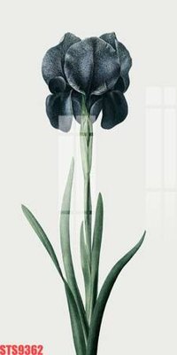 Tải file Tranh sơn dầu phương tây tổng hợp STS9362 (ảnh gốc) file AI/EPS