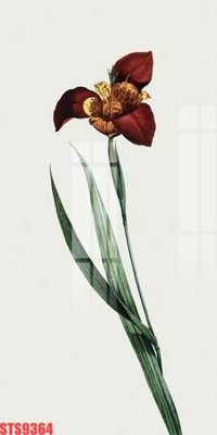 File PSD Tranh sơn dầu phương tây tổng hợp STS9364 (nguyên bản) cho thiết kế