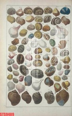 File PSD Tranh sơn dầu phương tây tổng hợp STS9409 (bản gốc) đã tách nền