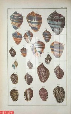 File gốc in tráng gương Tranh sơn dầu phương tây tổng hợp STS9426 chi tiết