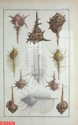 File ảnh Tranh sơn dầu phương tây tổng hợp STS9428 (gốc) cho trang trí nội thất