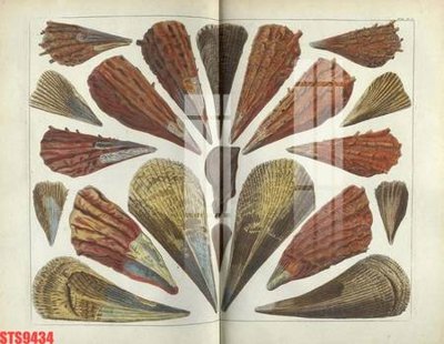 File gốc Tranh sơn dầu phương tây tổng hợp STS9434 (thiết kế) cho in ấn