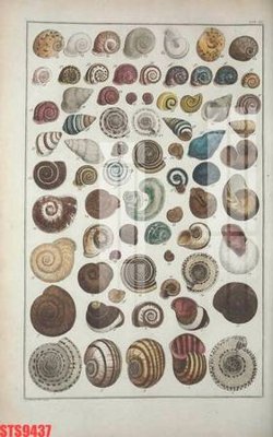 File gốc Tranh sơn dầu phương tây tổng hợp STS9437 (thiết kế) độc quyền