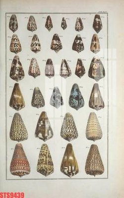 File gốc Tranh sơn dầu phương tây tổng hợp STS9439 (ảnh chi tiết) để in ấn