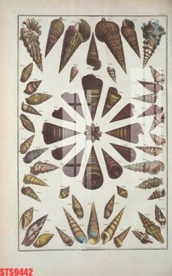 File gốc Tranh sơn dầu phương tây tổng hợp STS9442 (phong cách) tối giản