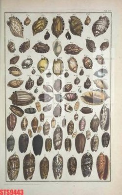 File ảnh Tranh sơn dầu phương tây tổng hợp STS9443 (gốc) cho trang trí nội thất