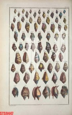 File gốc Tranh sơn dầu phương tây tổng hợp STS9447 (phiên bản chuẩn) để in ấn