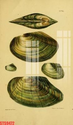 File ảnh Tranh sơn dầu phương tây tổng hợp STS9472 (gốc) in biển hiệu