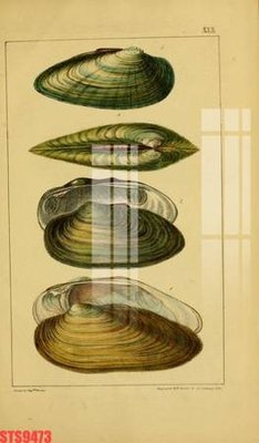 File PSD Tranh sơn dầu phương tây tổng hợp STS9473 (bản gốc) đã tách nền