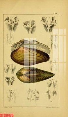 File gốc Tranh sơn dầu phương tây tổng hợp STS9475 (in lụa) tranh phong thủy