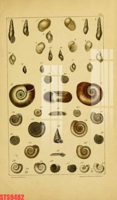 Tải file PSD Tranh sơn dầu phương tây tổng hợp STS9482 (nguyên layer) để in