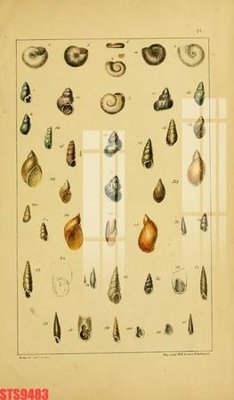 File tranh Tranh sơn dầu phương tây tổng hợp STS9483 (file gốc) chuẩn màu in