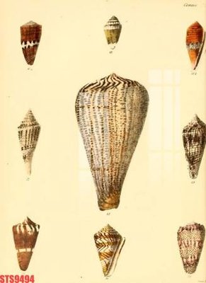 Tải file PSD Tranh sơn dầu phương tây tổng hợp STS9494 (nguyên layer) để in