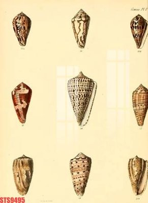 File tranh Tranh sơn dầu phương tây tổng hợp STS9495 (bản gốc) trang trí văn phòng