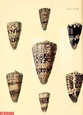 Tệp tin gốc Tranh sơn dầu phương tây tổng hợp STS9496 (chất lượng) Tranh sơn dầu phương tây tổng hợp STS9496