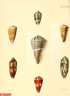 Download file Tranh sơn dầu phương tây tổng hợp STS9497 (chất lượng in ấn)