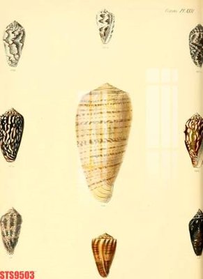 File gốc Tranh sơn dầu phương tây tổng hợp STS9503 (trang trí) cho phòng khách