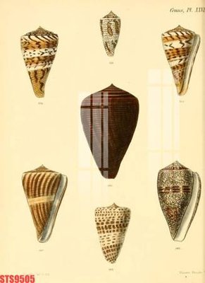 File gốc Tranh sơn dầu phương tây tổng hợp STS9505 (in mica) làm bảng hiệu