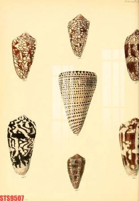 Download file gốc Tranh sơn dầu phương tây tổng hợp STS9507 (in lụa) hoa lá