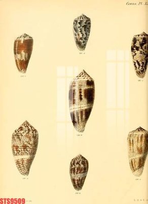 File in ấn Tranh sơn dầu phương tây tổng hợp STS9509 (bản gốc) sắc nét