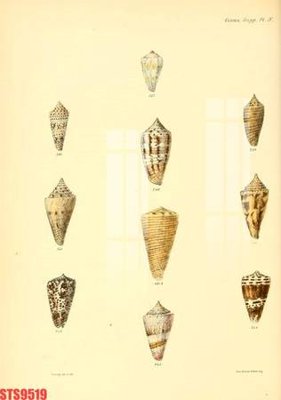 Tải file Tranh sơn dầu phương tây tổng hợp STS9519 (gốc) làm file tranh quảng cáo