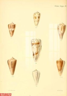 File ảnh Tranh sơn dầu phương tây tổng hợp STS9522 (gốc) in poster