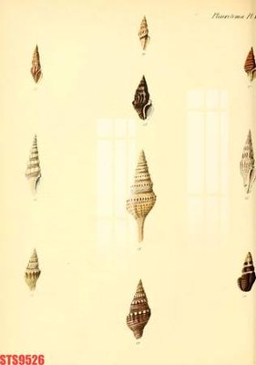 Tải về file gốc Tranh sơn dầu phương tây tổng hợp STS9526 (chuẩn in ấn)