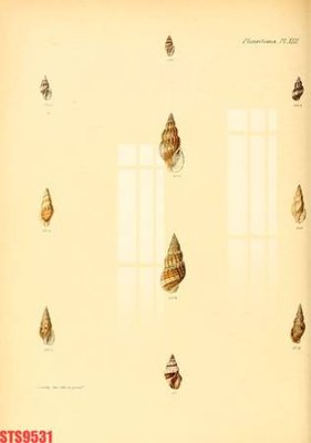 File gốc Tranh sơn dầu phương tây tổng hợp STS9531 (PNG) chất lượng cao