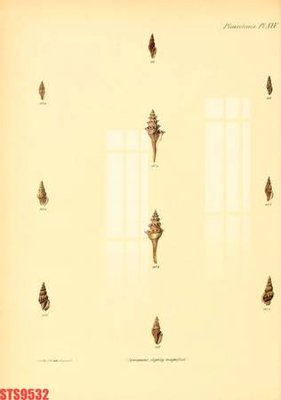 Tải file Tranh sơn dầu phương tây tổng hợp STS9532 (gốc) in ấn ngay lập tức