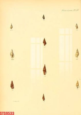 Tải file gốc Tranh sơn dầu phương tây tổng hợp STS9533 (in khổ lớn) không vỡ