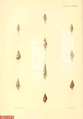 File ảnh gốc Tranh sơn dầu phương tây tổng hợp STS9537 không vỡ nét