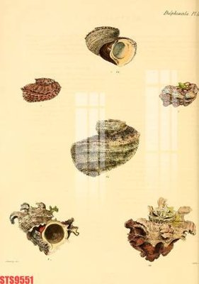 Tải file Tranh sơn dầu phương tây tổng hợp STS9551 (gốc) chủ đề tâm linh