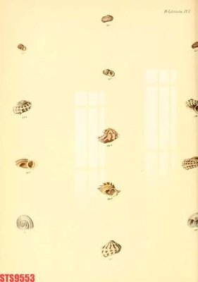 File PSD Tranh sơn dầu phương tây tổng hợp STS9553 (gốc) cho designer