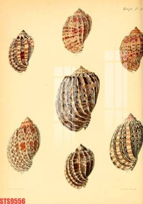 File gốc Tranh sơn dầu phương tây tổng hợp STS9556 (phong cách) châu Âu