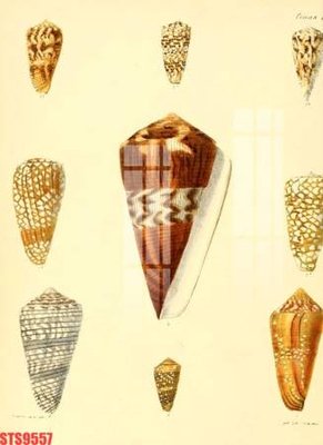 File tranh Tranh sơn dầu phương tây tổng hợp STS9557 (gốc) chủ đề con người