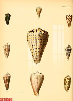 File tranh Tranh sơn dầu phương tây tổng hợp STS9563 (gốc) chủ đề động vật