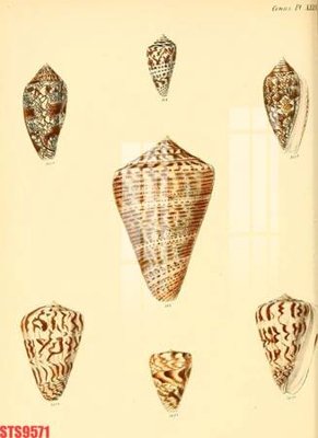 Tải file Tranh sơn dầu phương tây tổng hợp STS9571 (gốc) làm file tranh quảng cáo