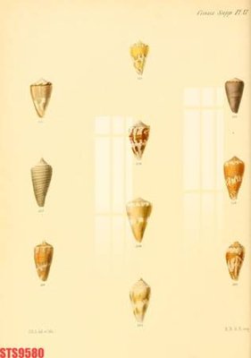 File tranh Tranh sơn dầu phương tây tổng hợp STS9580 (gốc) chủ đề thành phố