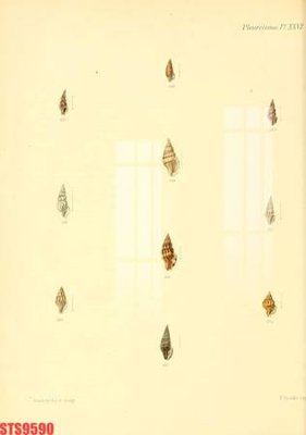 File gốc in ấn Tranh sơn dầu phương tây tổng hợp STS9590 độ phân giải cao