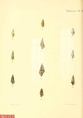 File tranh Tranh sơn dầu phương tây tổng hợp STS9593 (gốc) chủ đề con người