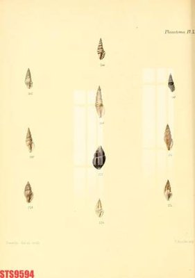 Hình ảnh gốc Tranh sơn dầu phương tây tổng hợp STS9594 (để in khổ lớn)