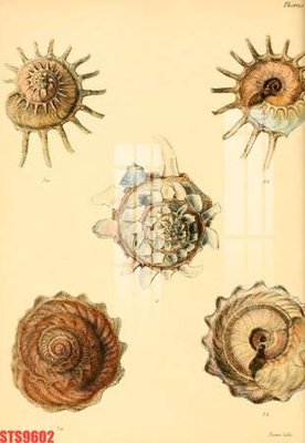 File gốc in mica Tranh sơn dầu phương tây tổng hợp STS9602 chất lượng