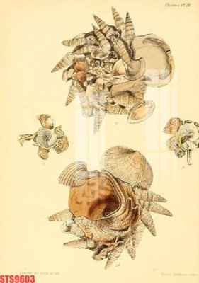 File gốc Tranh sơn dầu phương tây tổng hợp STS9603 (trang trí) cho phòng khách