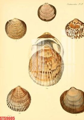 File gốc in ấn Tranh sơn dầu phương tây tổng hợp STS9605 chuẩn màu CMYK