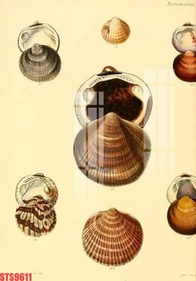 Tải file Tranh sơn dầu phương tây tổng hợp STS9611 (ảnh gốc) in tranh kính