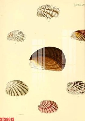 File gốc Tranh sơn dầu phương tây tổng hợp STS9613 (ảnh chi tiết) để in ấn