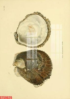 File tranh Tranh sơn dầu phương tây tổng hợp STS9629 (gốc) in backlit film