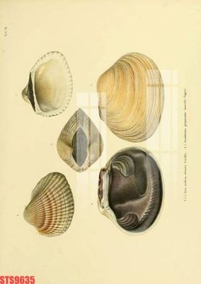 File gốc Tranh sơn dầu phương tây tổng hợp STS9635 (cho in ấn) từ kho Filetranh