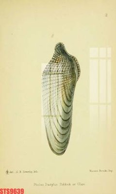 File in mica Tranh sơn dầu phương tây tổng hợp STS9639 (bản gốc) làm vách ngăn