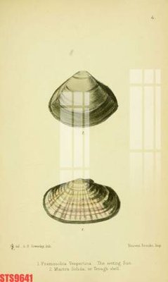 File in trần Tranh sơn dầu phương tây tổng hợp STS9641 (bản gốc) hoa văn